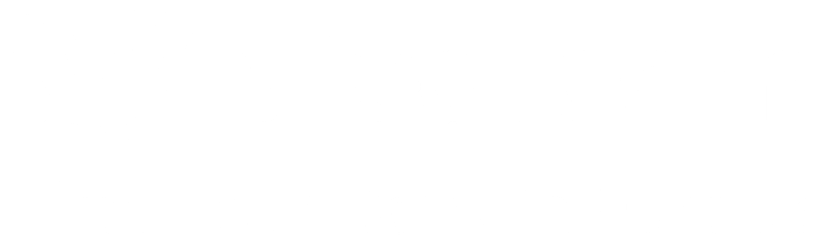 Viva.com — First Tech Bank in Europe